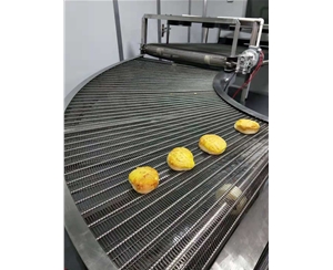 陕西食品网带转弯机