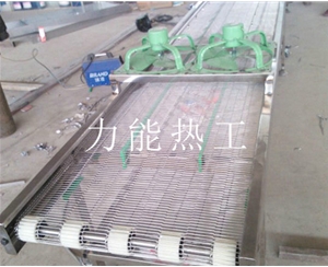 陕西乙字网输送机